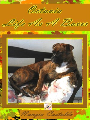 cover image of Octavia Life As a Boxer